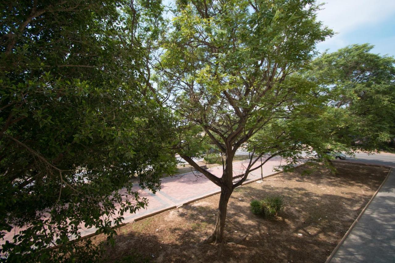 113 Beach And Trees - Alicante Holiday ตอร์เรเวียคา ภายนอก รูปภาพ