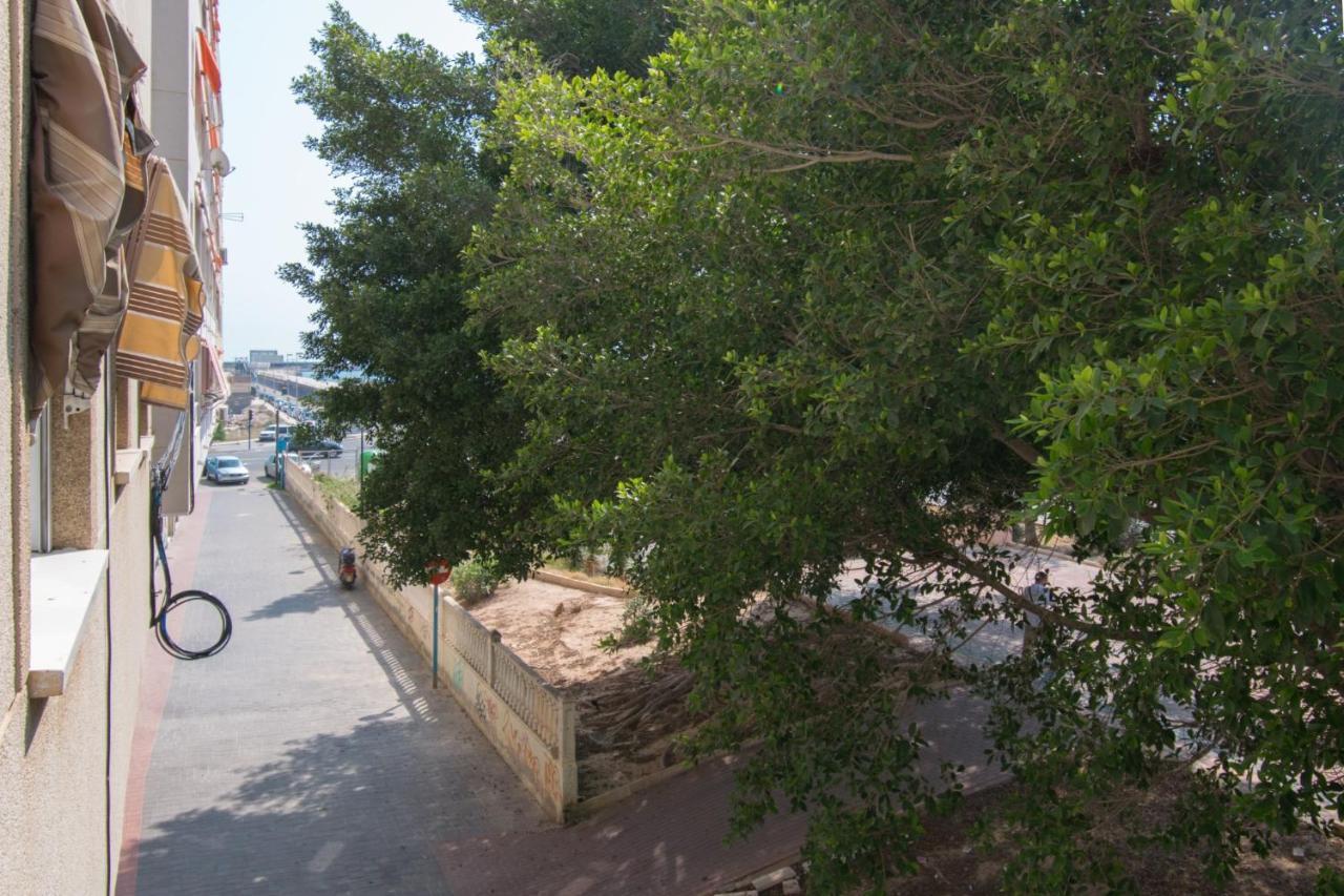 113 Beach And Trees - Alicante Holiday ตอร์เรเวียคา ภายนอก รูปภาพ