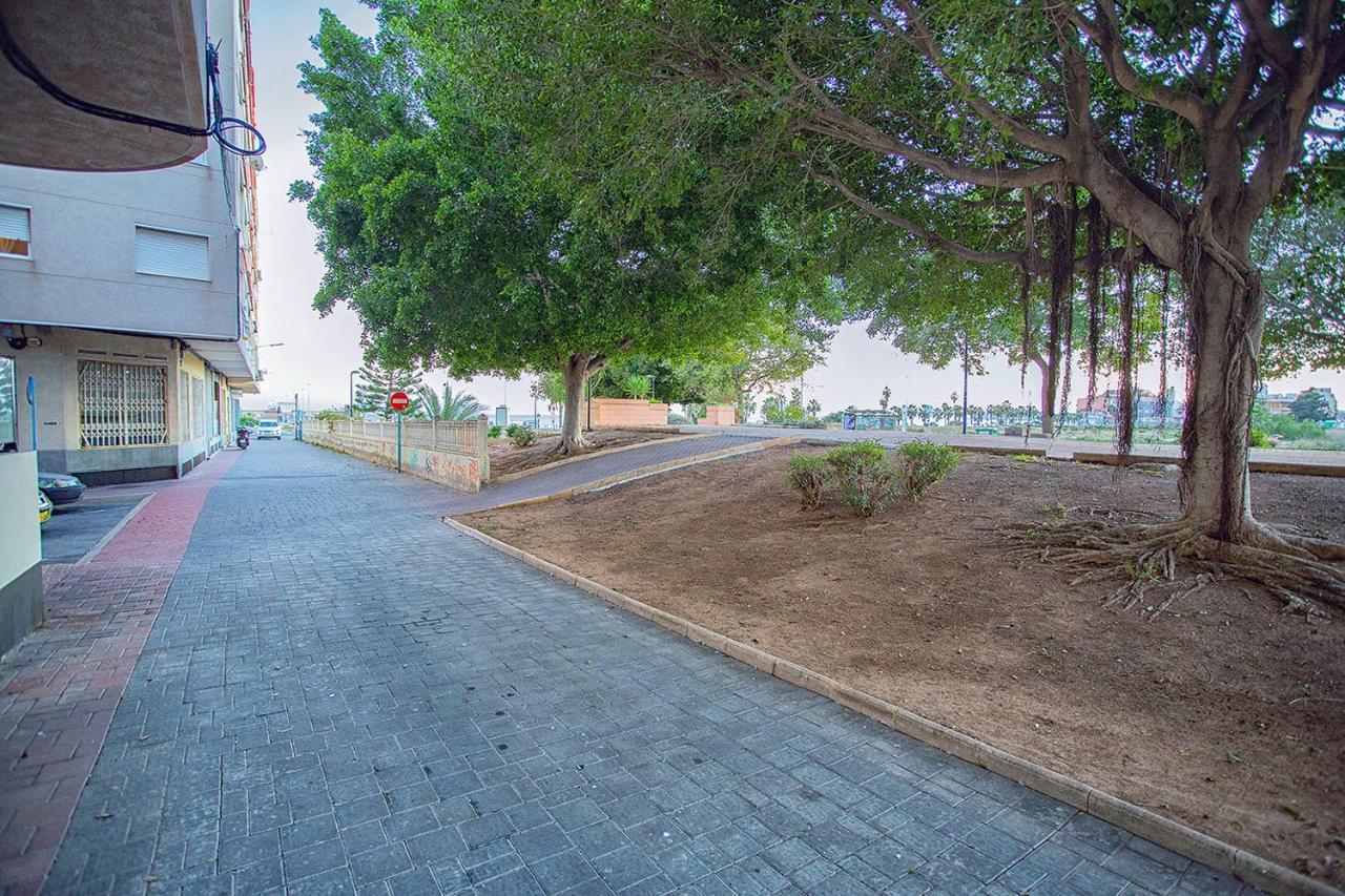 113 Beach And Trees - Alicante Holiday ตอร์เรเวียคา ภายนอก รูปภาพ